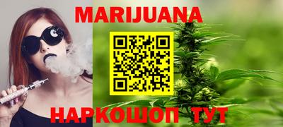 прущие грибы Чебоксары