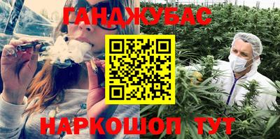 прущие грибы Чебоксары