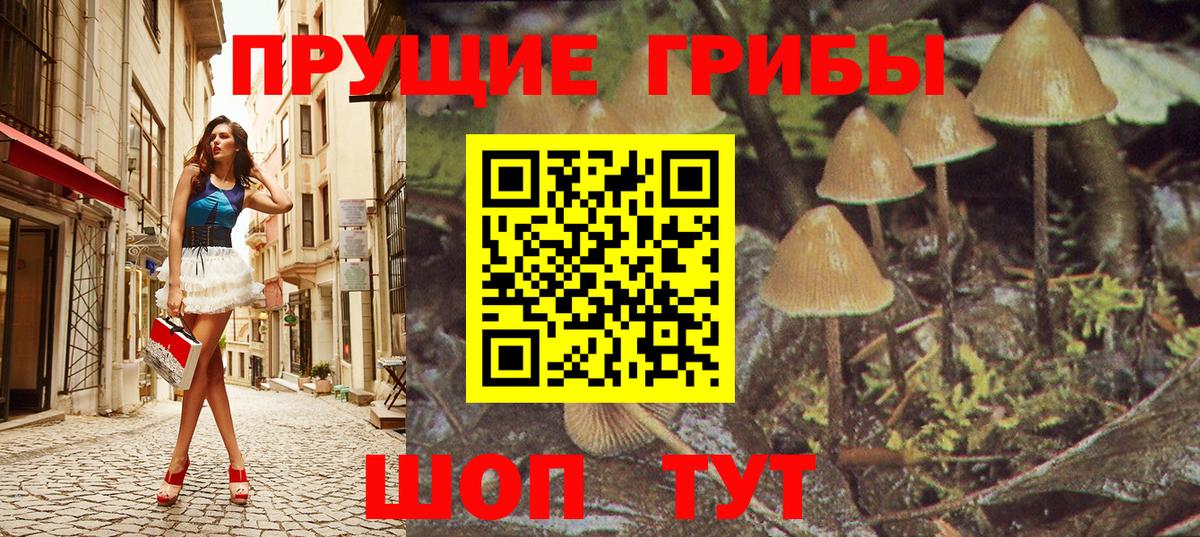 Псилоцибиновые грибы Cubensis  Псилоцибиновые грибы Magic Shrooms  Белово  Вход с VPN 