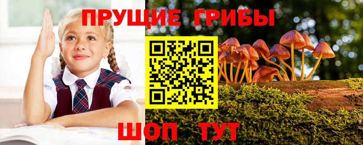Псилоцибиновые грибы MAGIC MUSHROOMS Белово